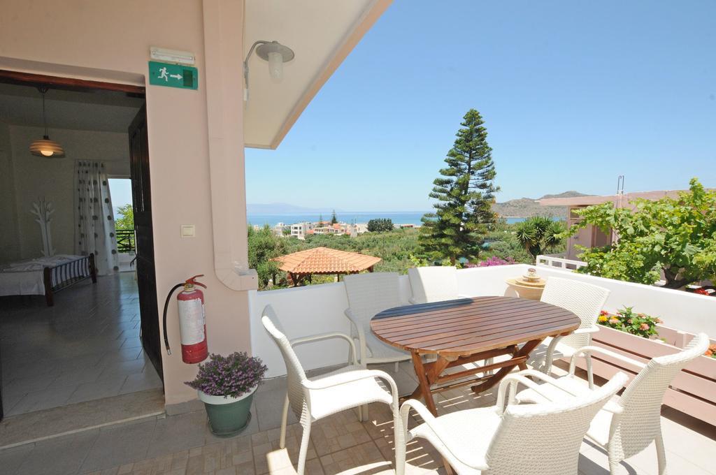 Amazon * Agia Marina (Crete)