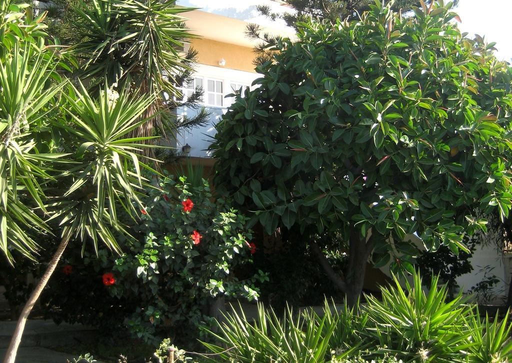 Apartment Corina