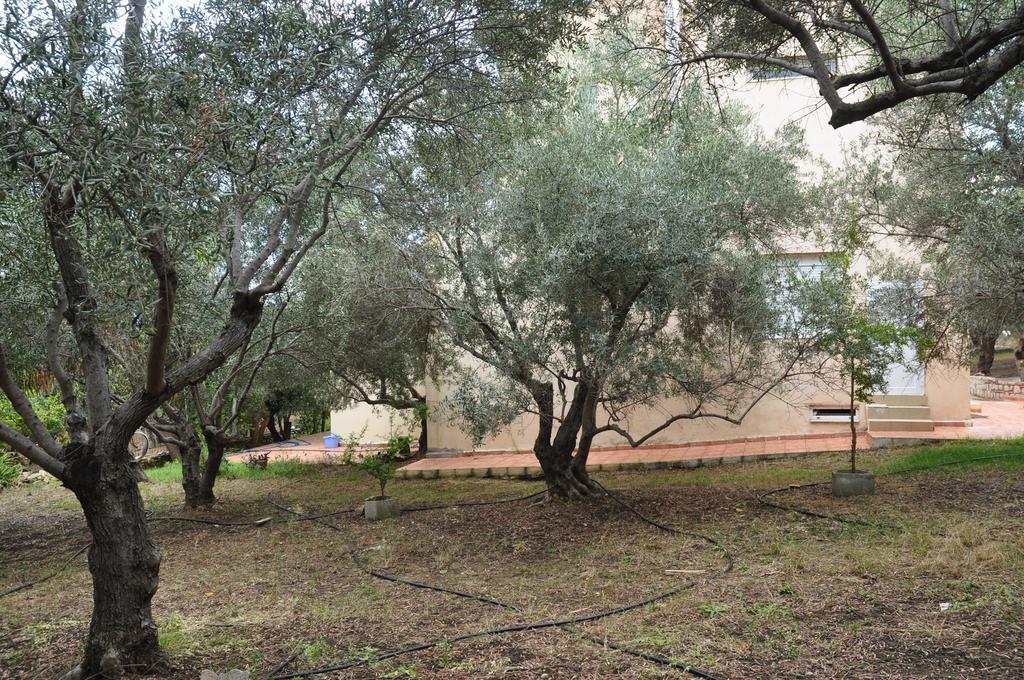 Ktima Tzamika Apartment *