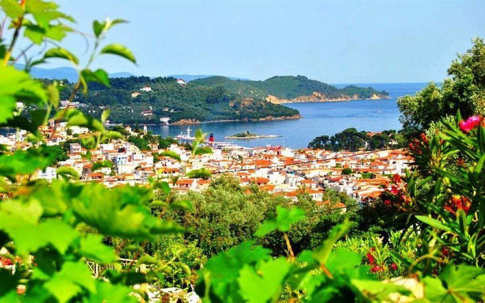 Blue Horizon Skiathos Town