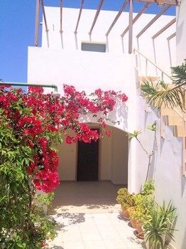 Oleander Platanes (Rethymno)