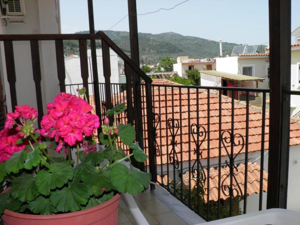 Guest house Eleni's House Skiathos Town