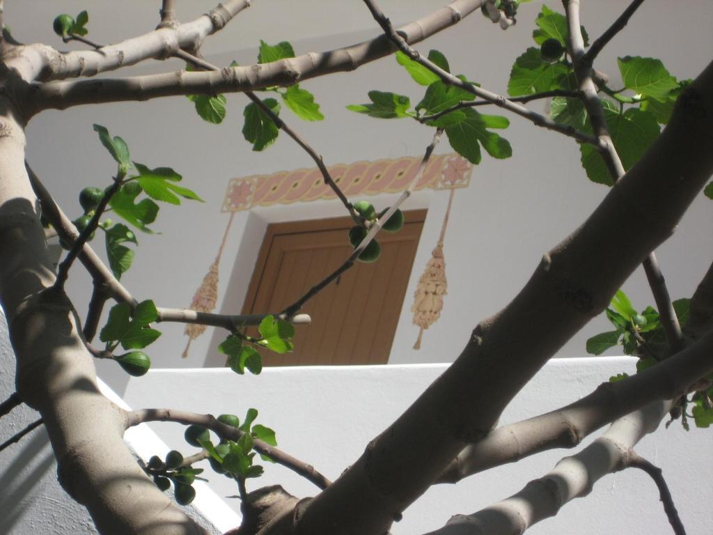 Rozmari And Apartment Agia Galini (Crete)