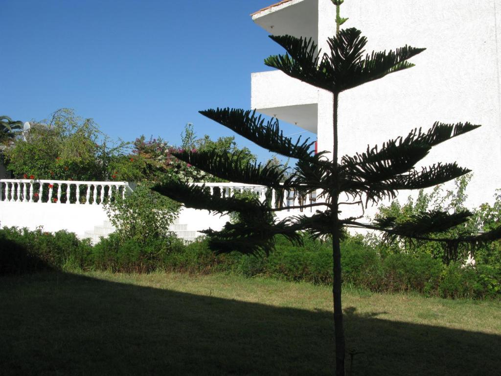 Mariliza Beach Hotel 3* Marmari (Kos)