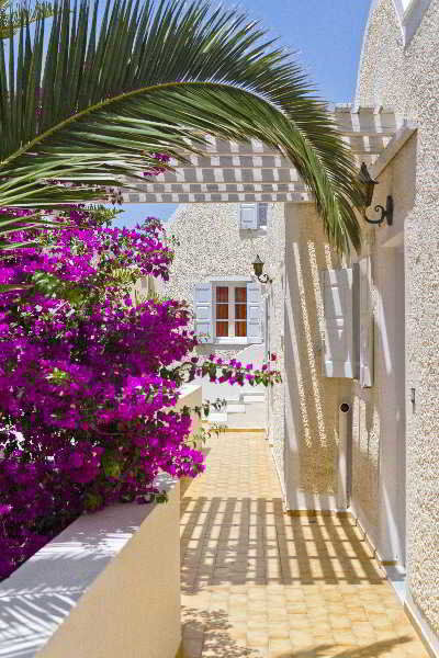 Dolphins Aparthotel 3*