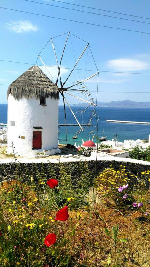 Infinity Mykonos Suites Hotel 2*