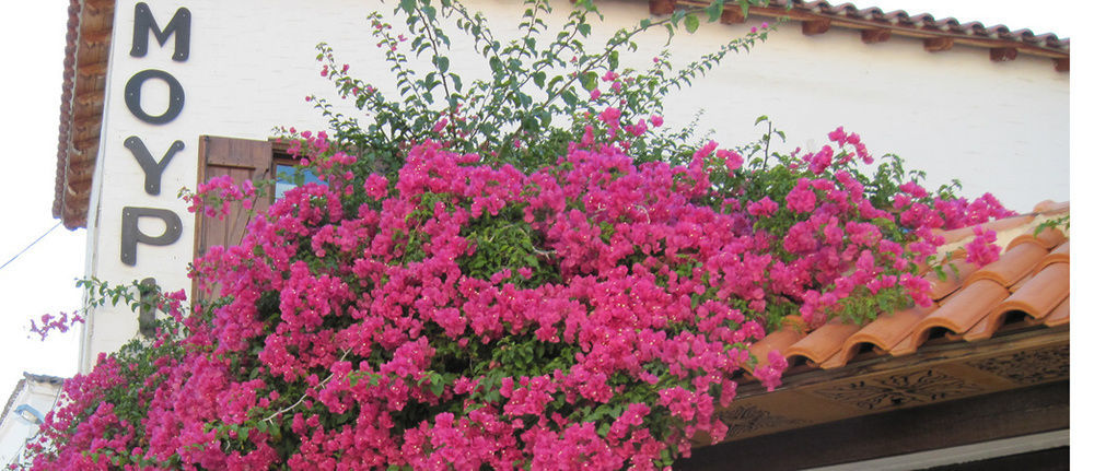 Mouria * Skiathos Town