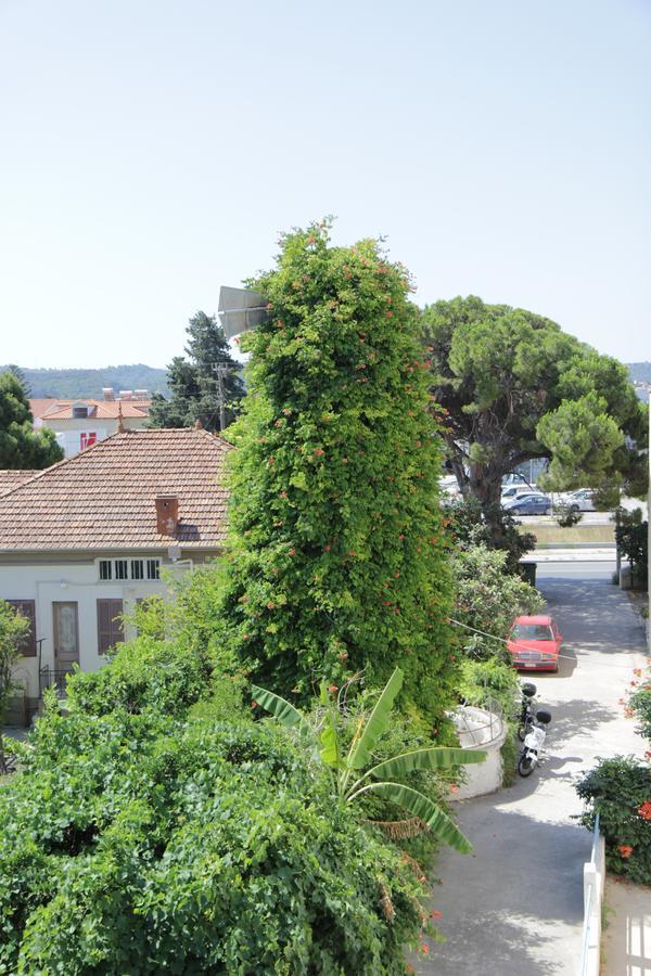 Platoni Elite