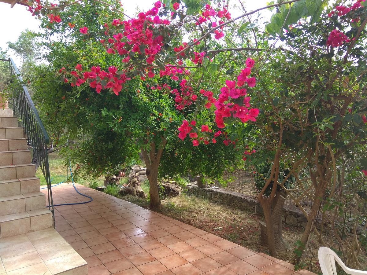 Ktima Tzamika Apartment