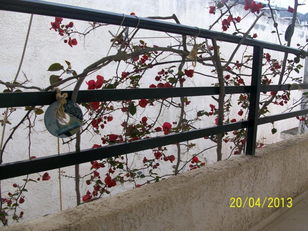 Hotel Despina