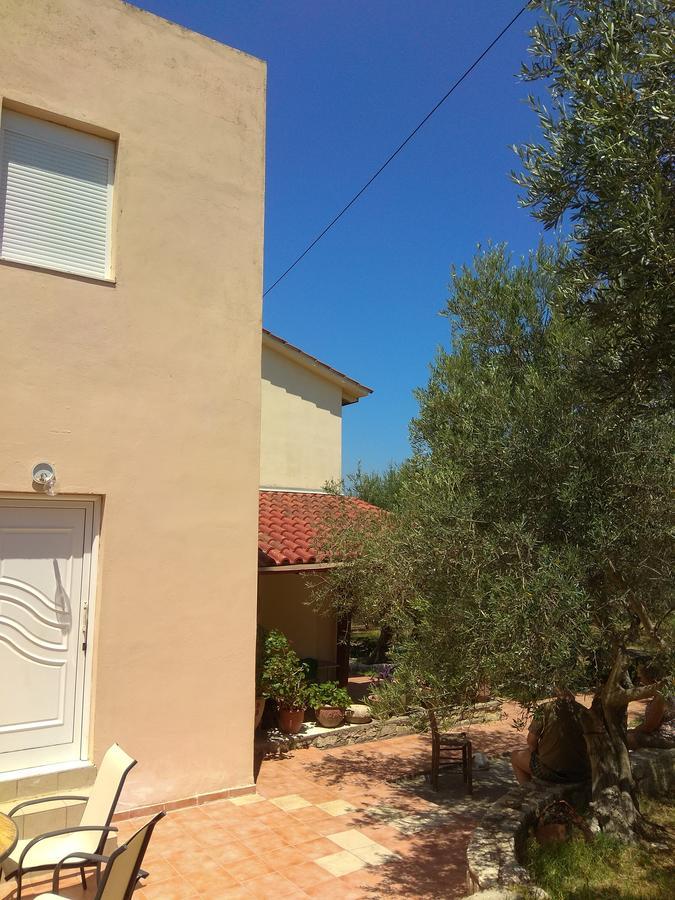 Ktima Tzamika * Episkopi (Rethymno)