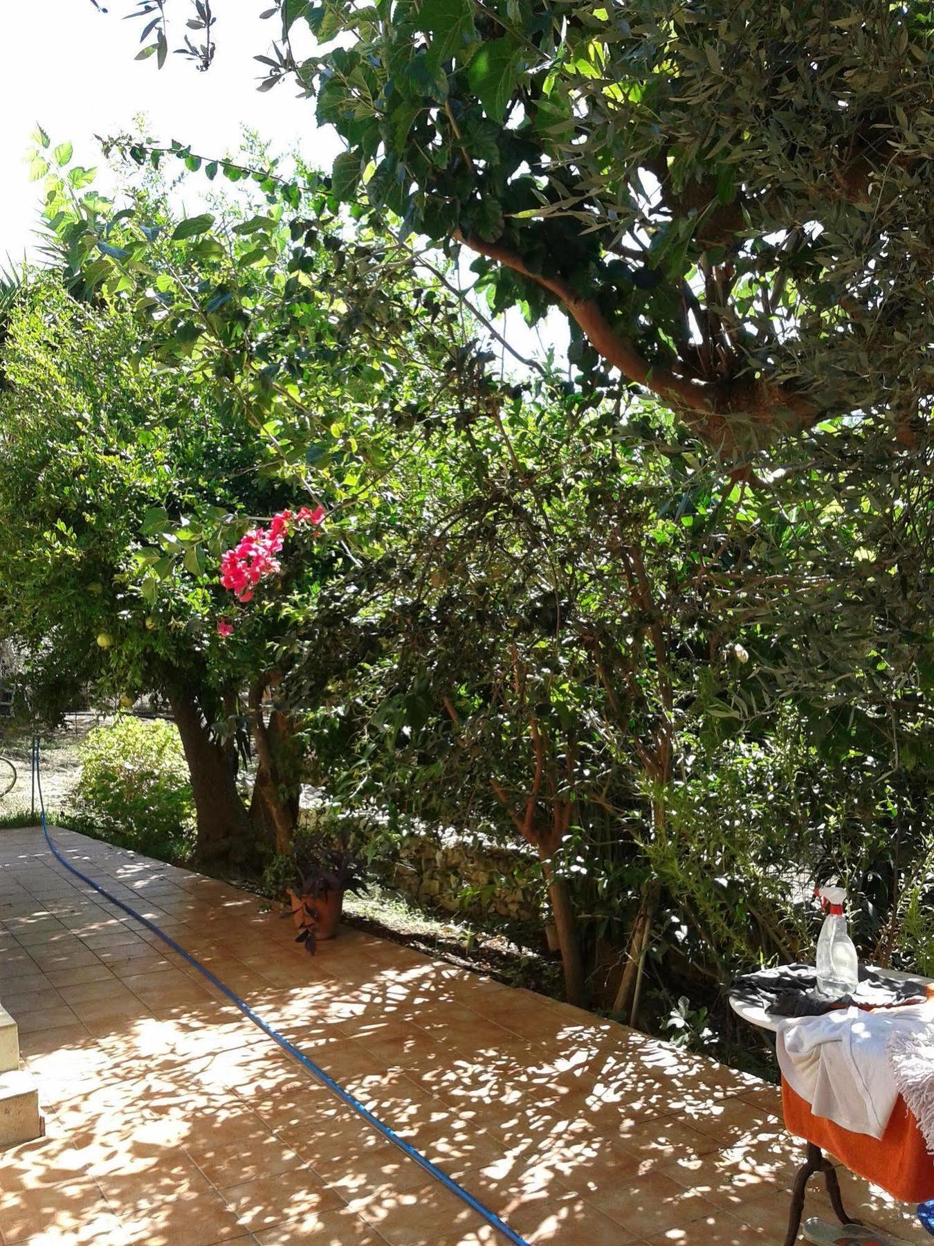 Ktima Tzamika Apartment Episkopi (Rethymno)