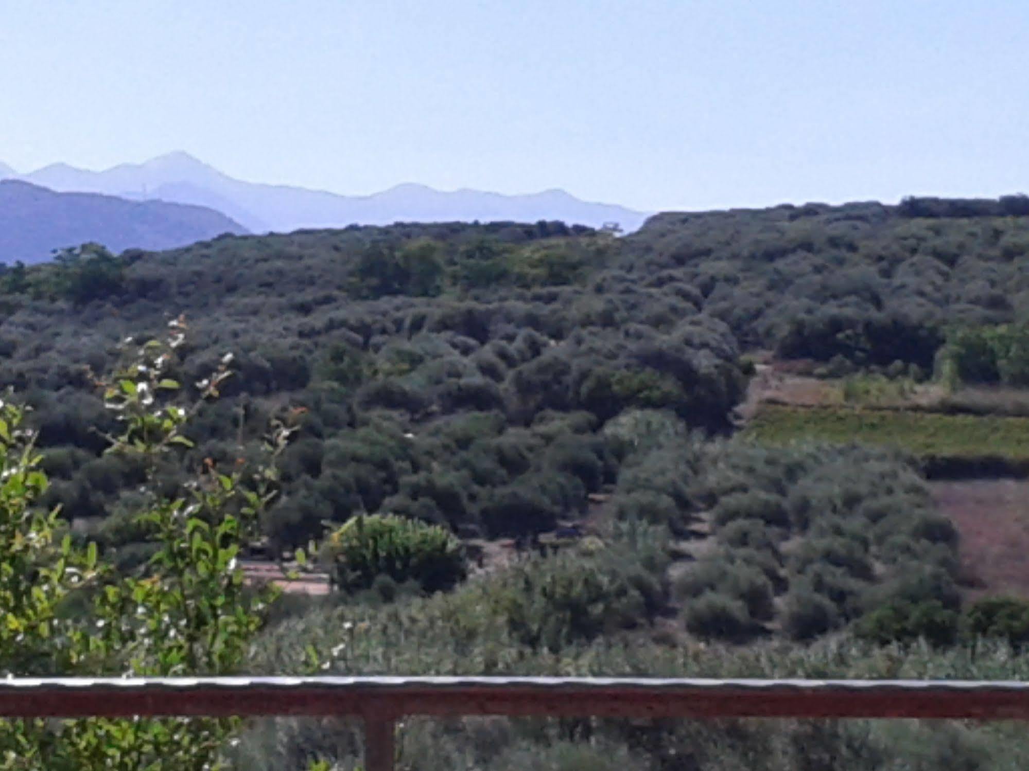 Ktima Tzamika * Episkopi (Rethymno)