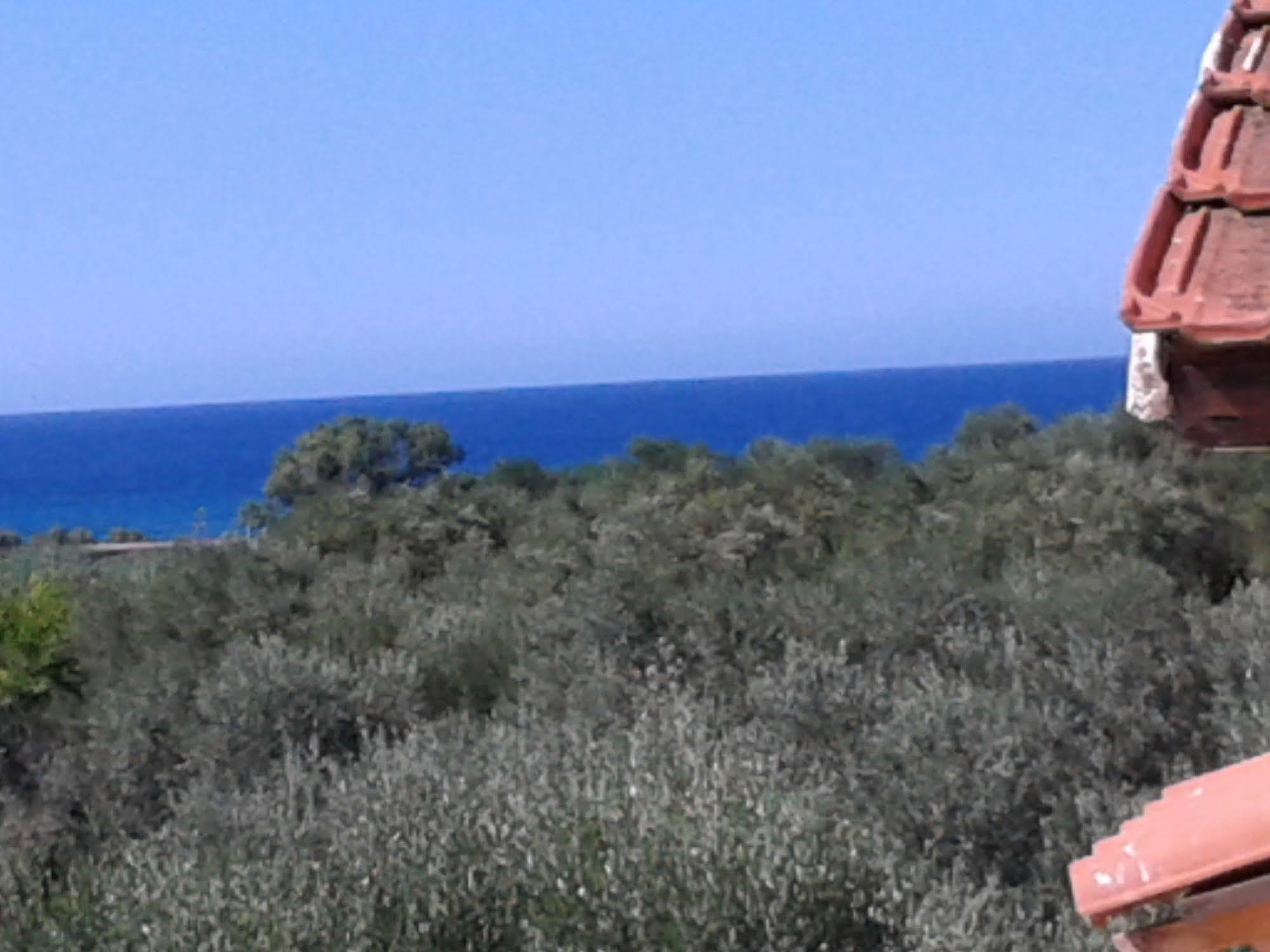 Ktima Tzamika * Episkopi (Rethymno)