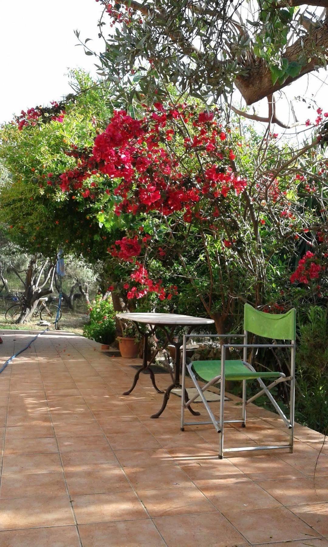 Apartment Ktima Tzamika *