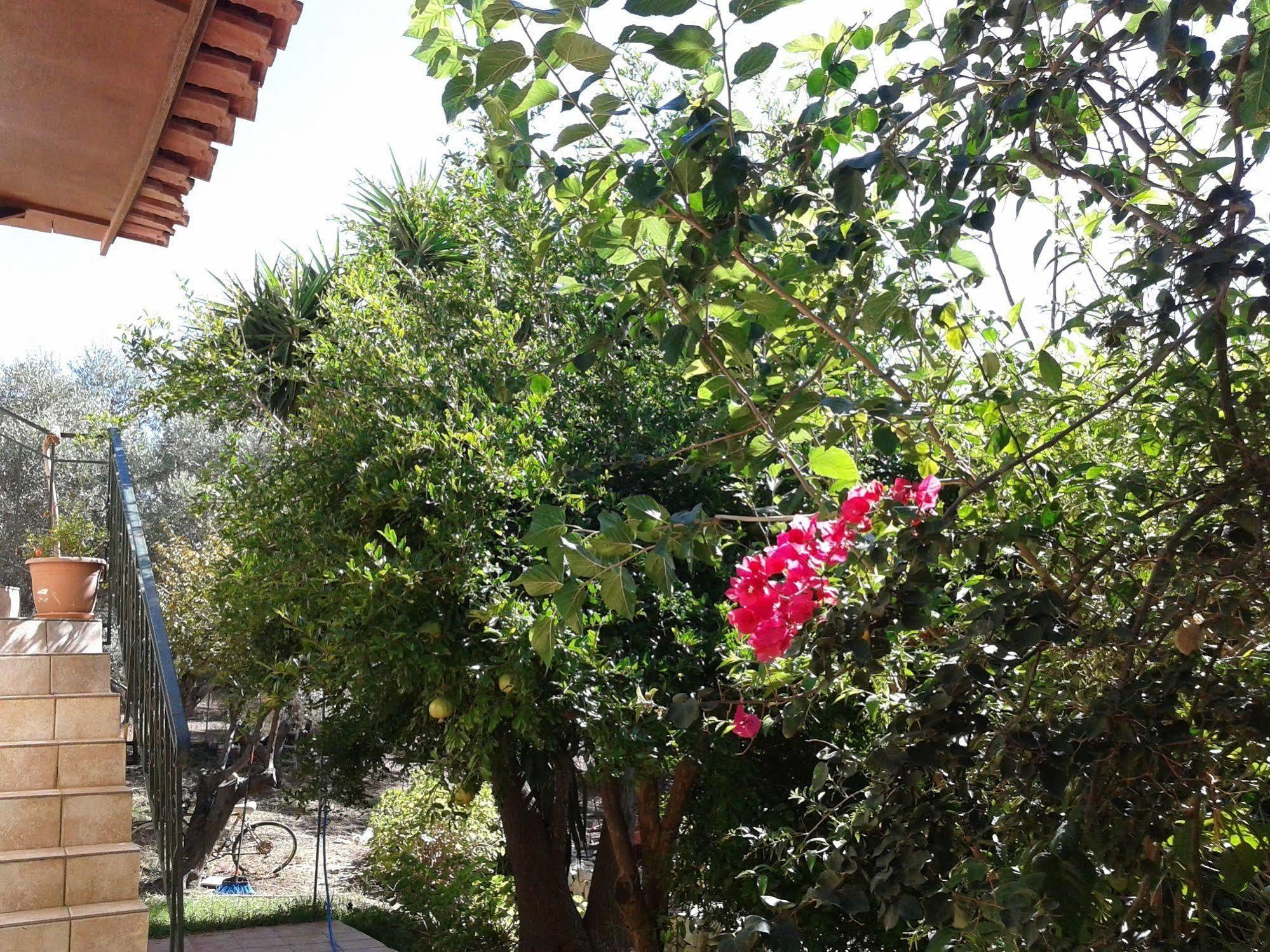 Ktima Tzamika Apartment