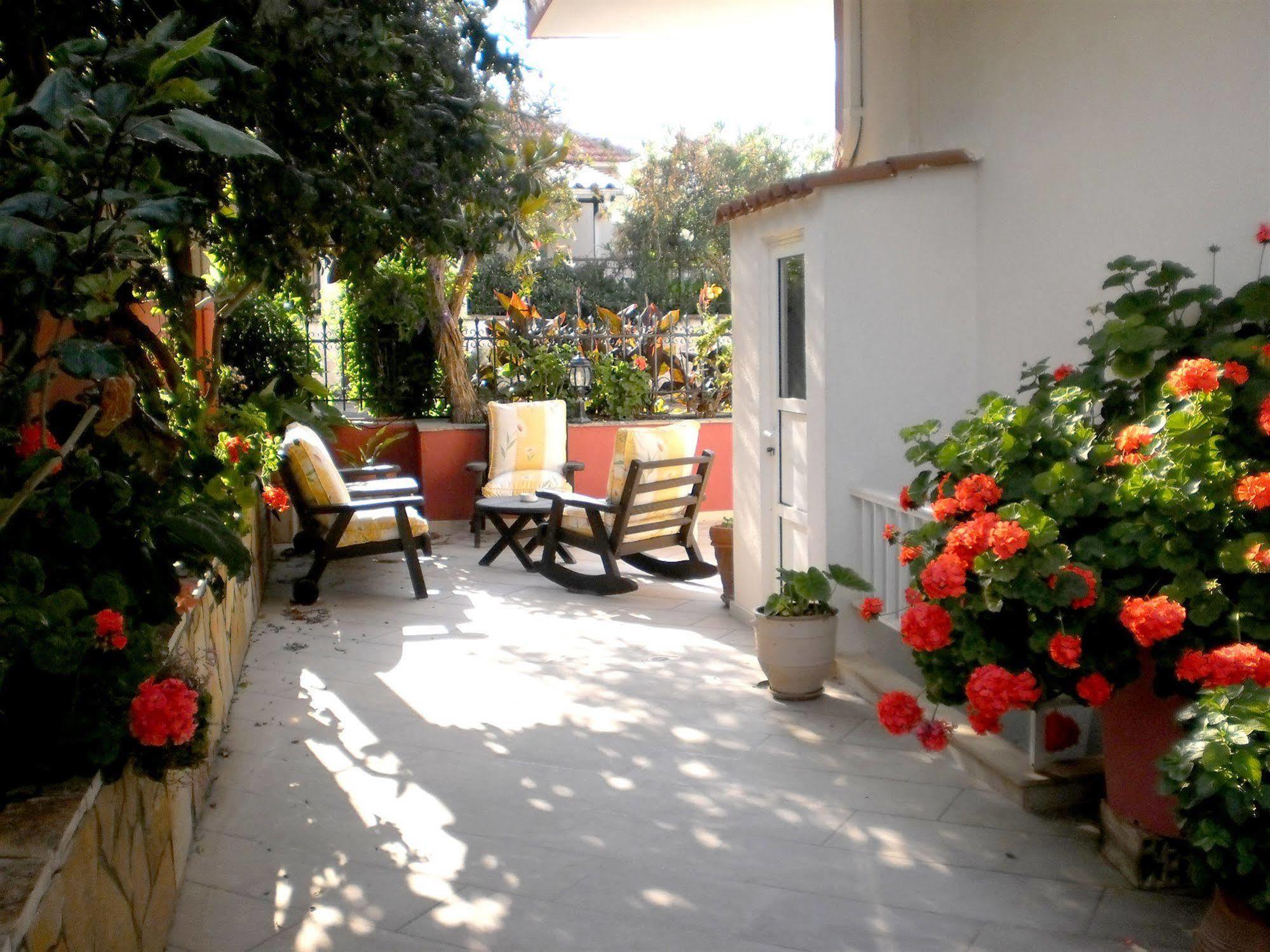Hotel Starlight 4*