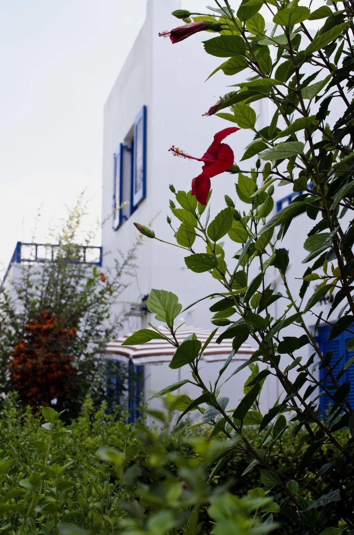 Aparthotel Sirius Hersonissos (Crete)