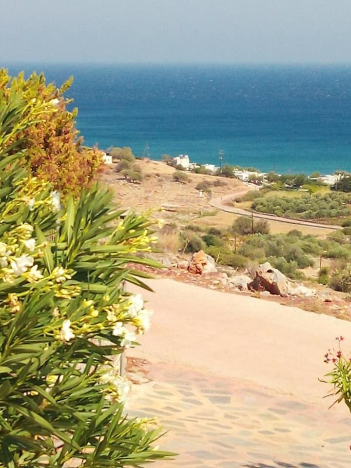 Apartment Alkioni Sea View *