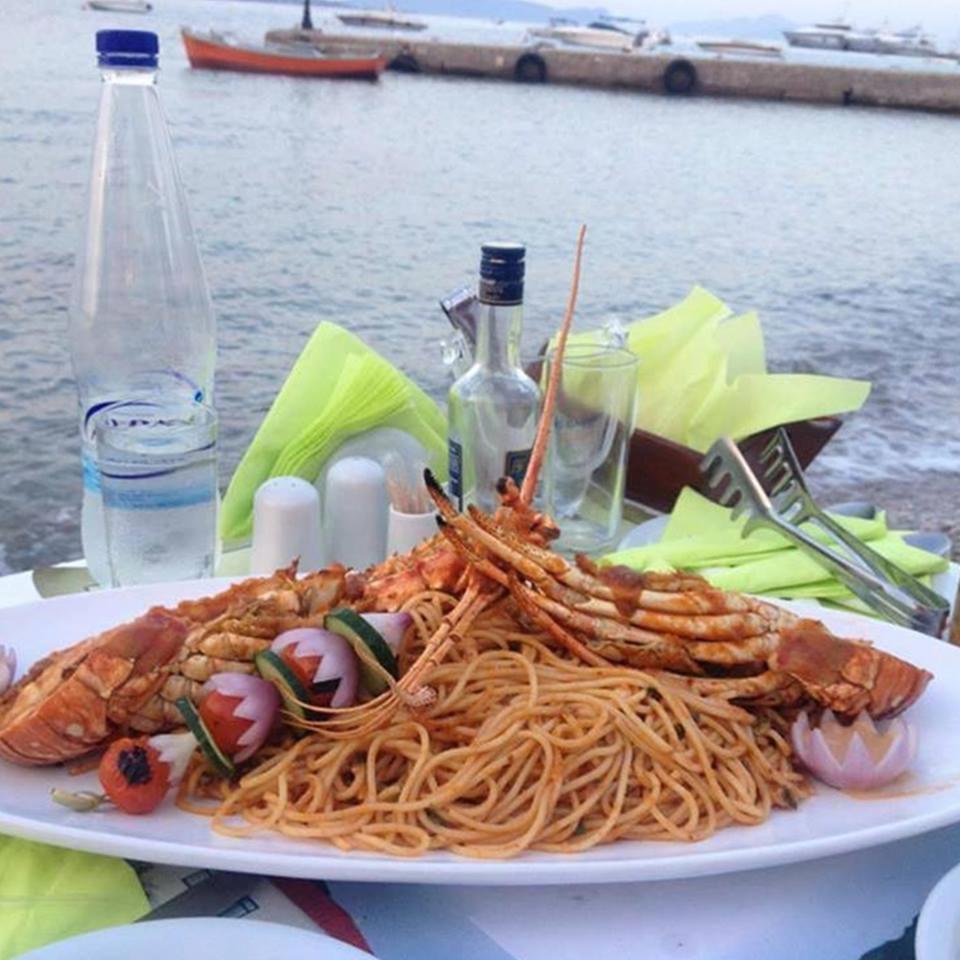 Alkioni Sea View Zakros