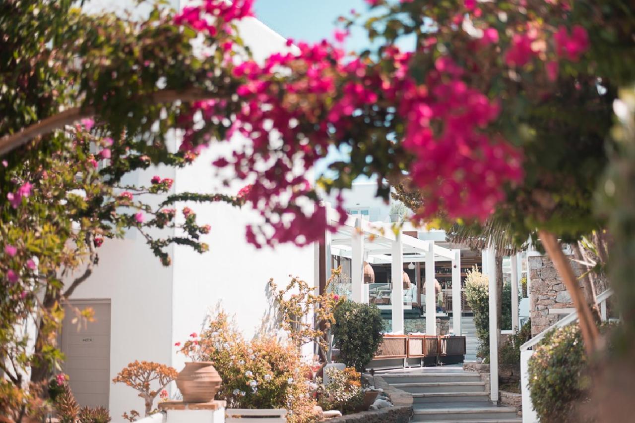 Semeli Mykonos