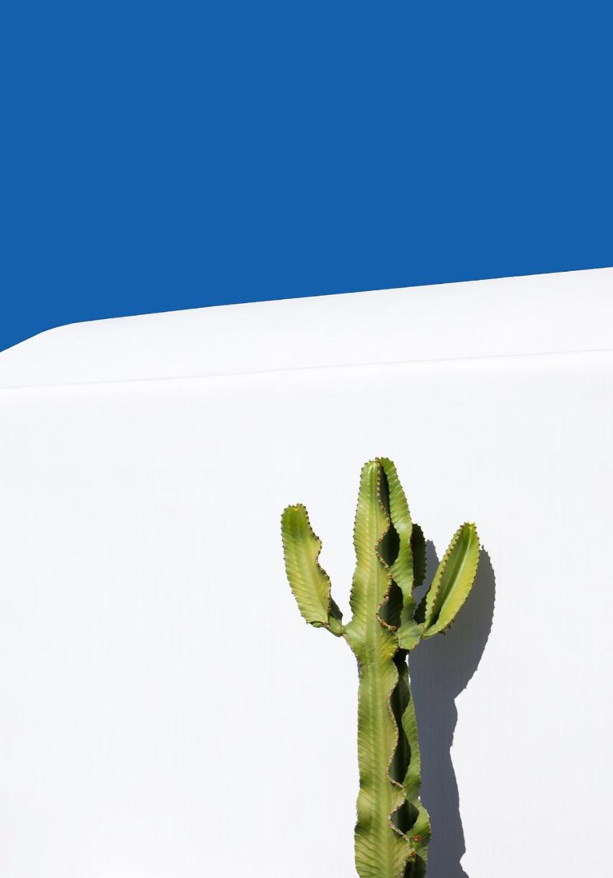 Dreamlike Mykonos Villa Ornos (Mykonos)