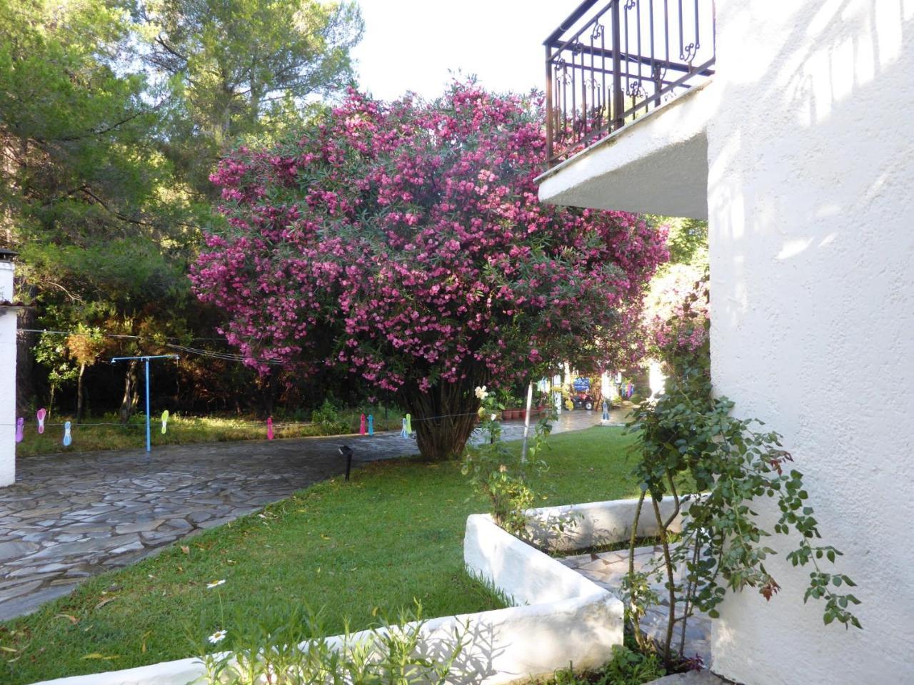 Aparthotel Amalia Koukounaries