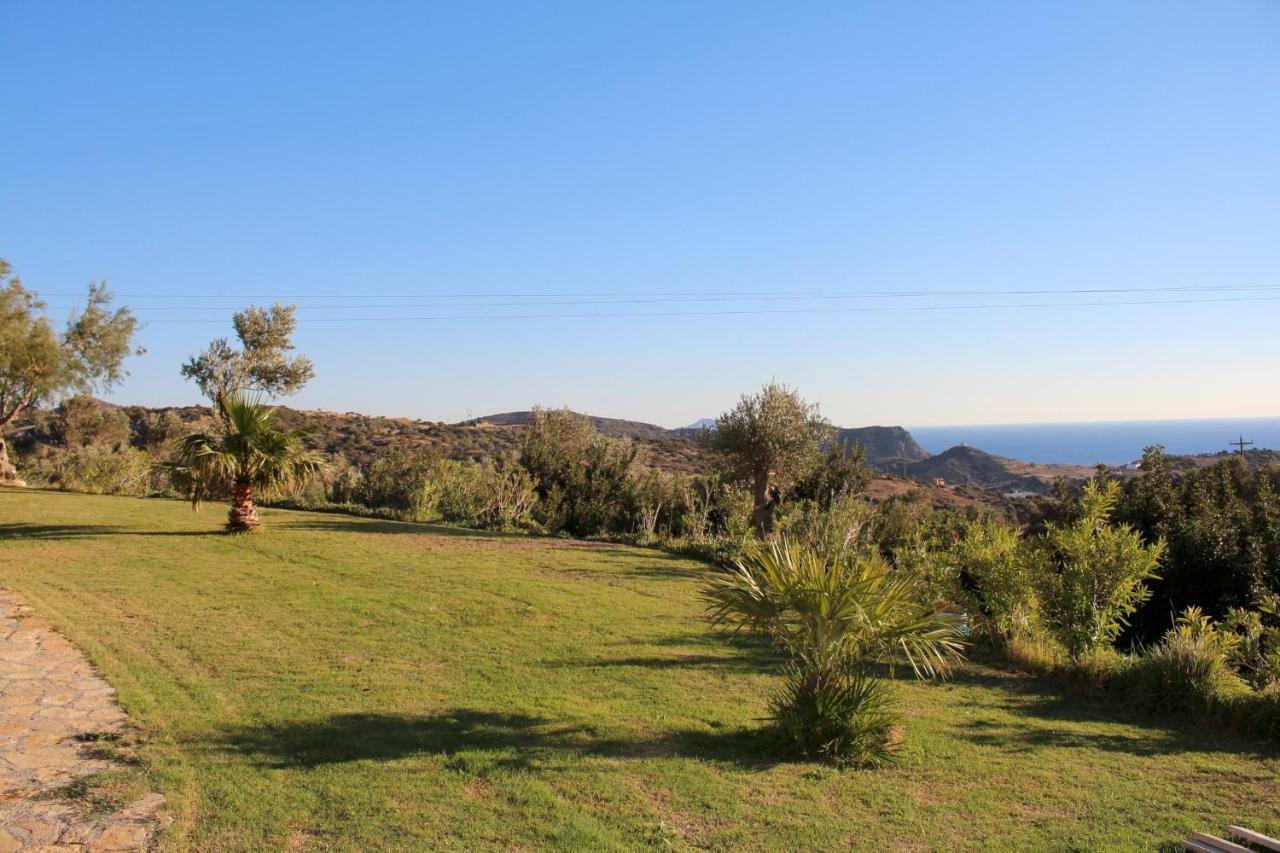 Petra-mare *