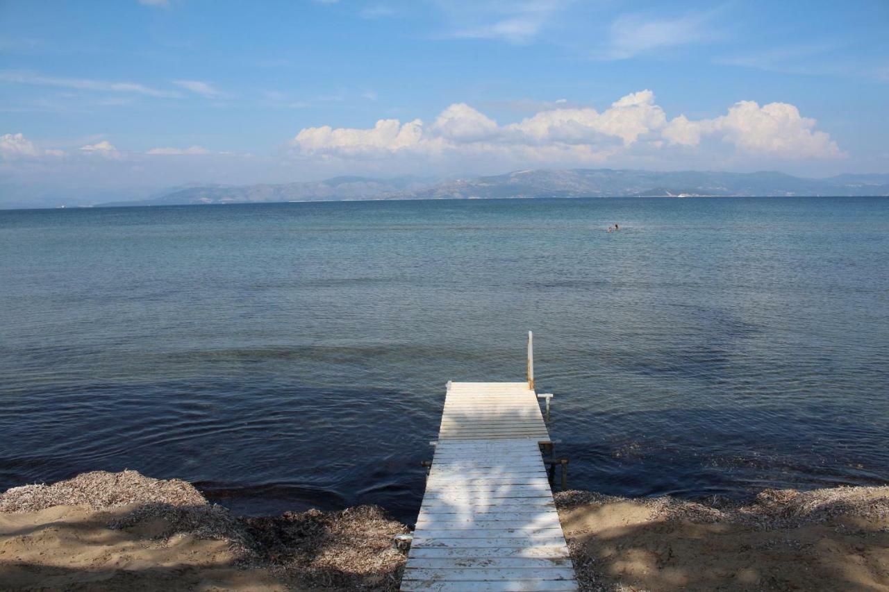 Apartment Irini *
