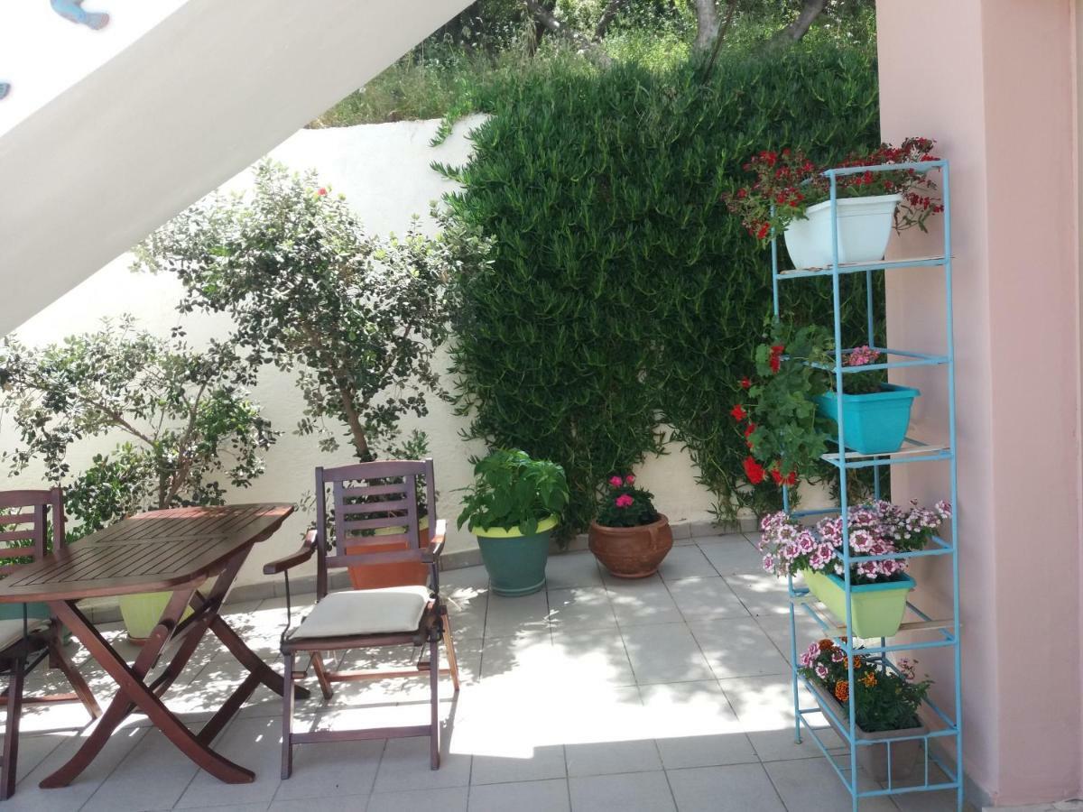 Amazon * Agia Marina (Crete)