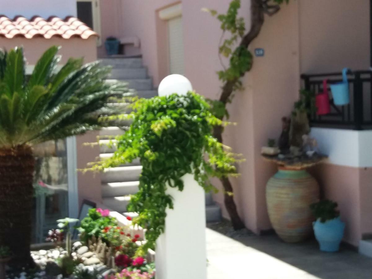Amazon Agia Marina (Crete)