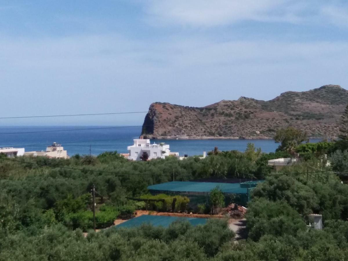 Amazon * Agia Marina (Crete)