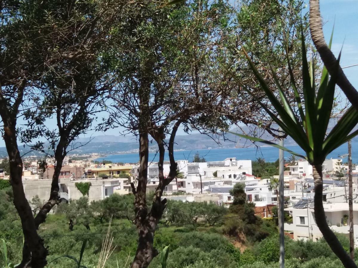 Amazon Apartment Agia Marina (Crete)