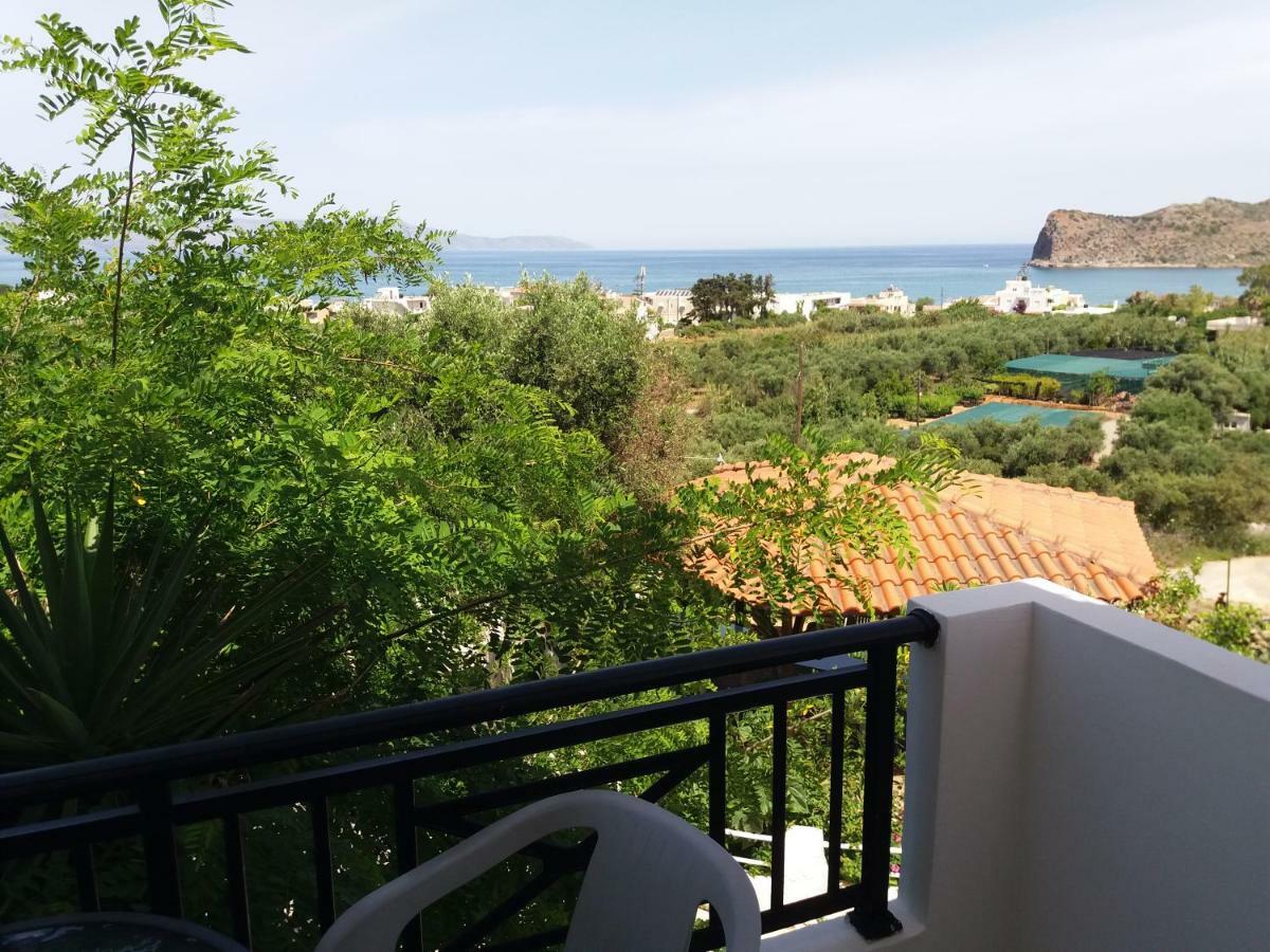 Amazon * Agia Marina (Crete)