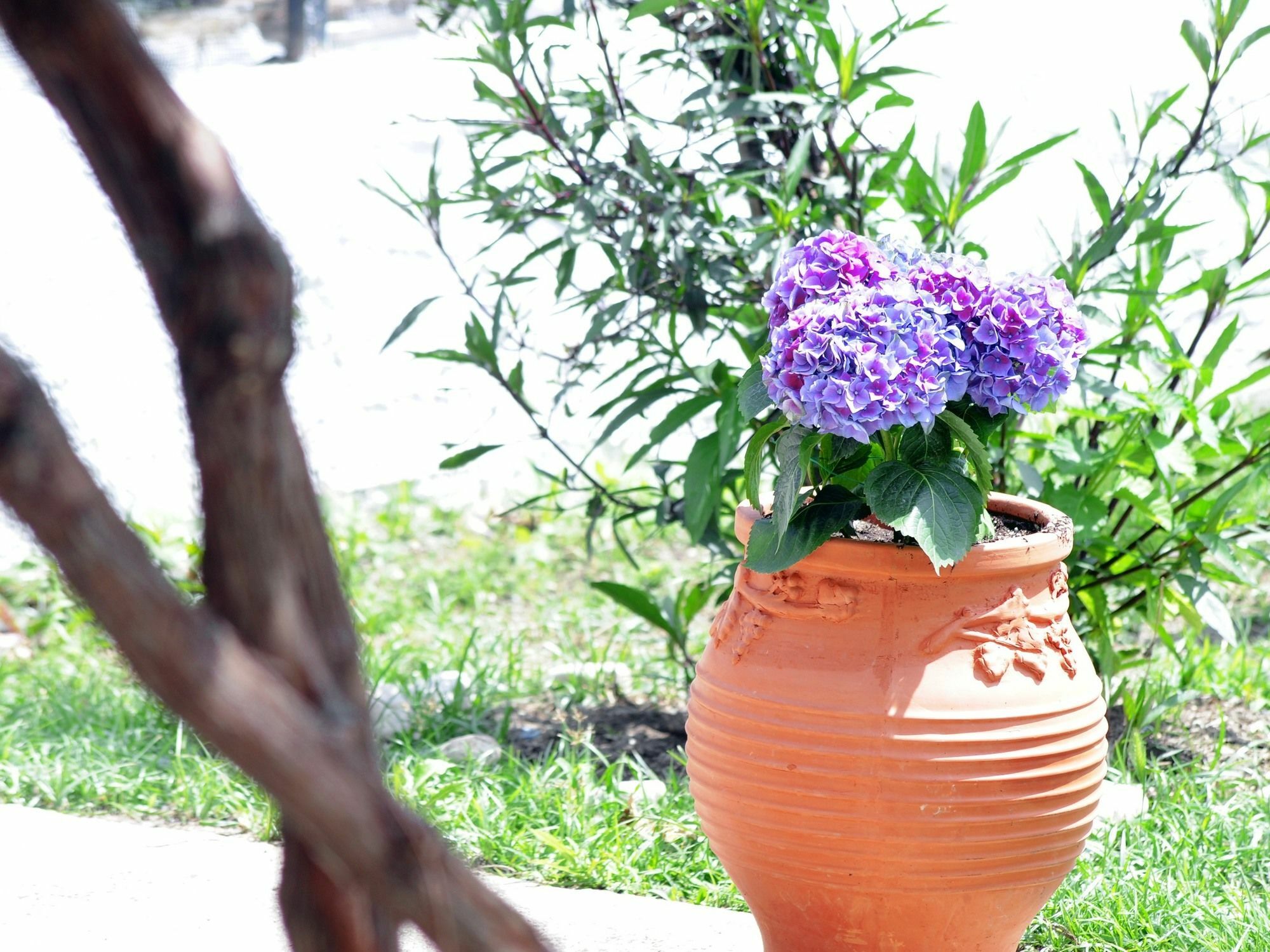 Traditional On The Hillside Of Antiperni Sidari (Corfu)