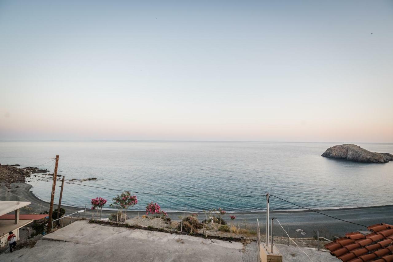 View Apartment