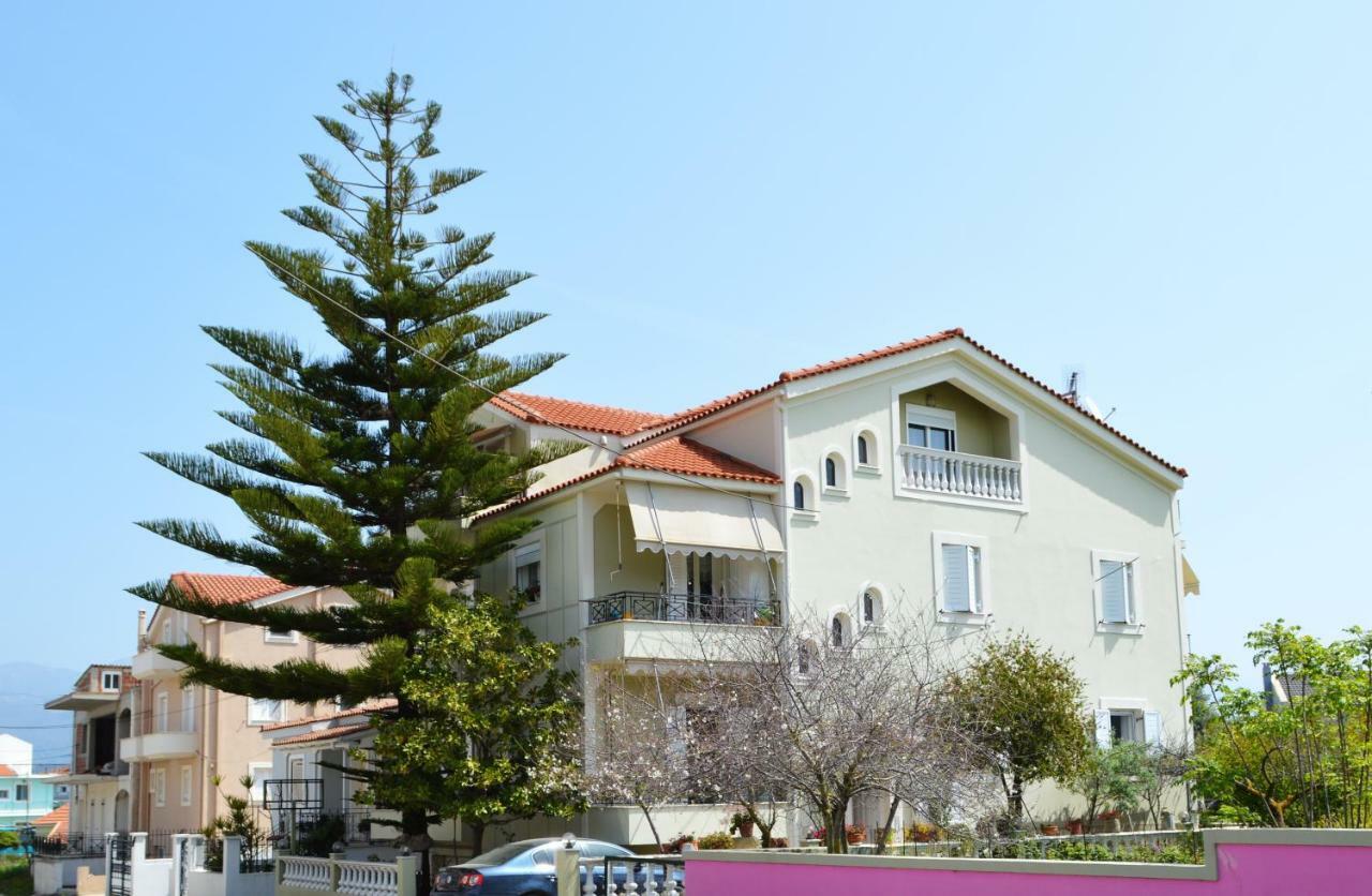 Araucaria Lixouri