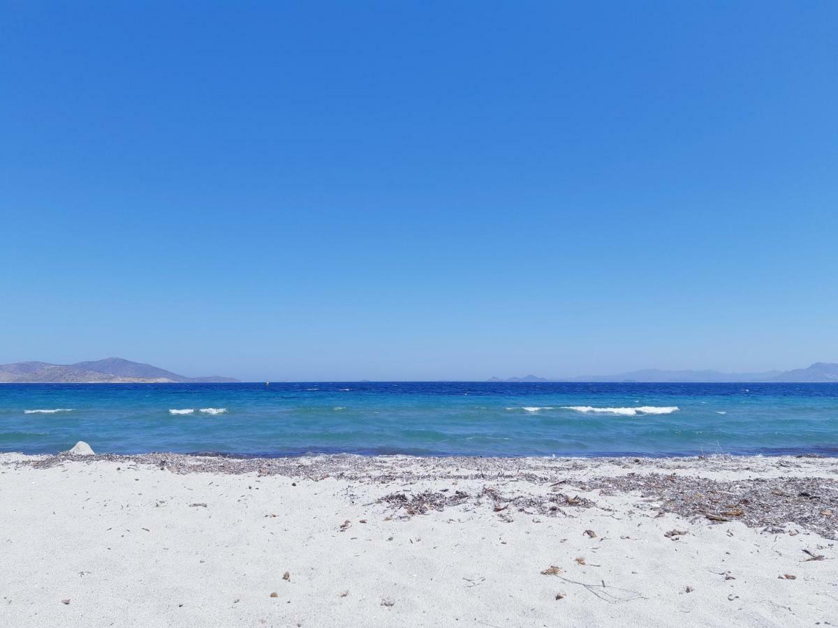 Swan House Panoramic View - Near The Sea Holiday home Ziparion