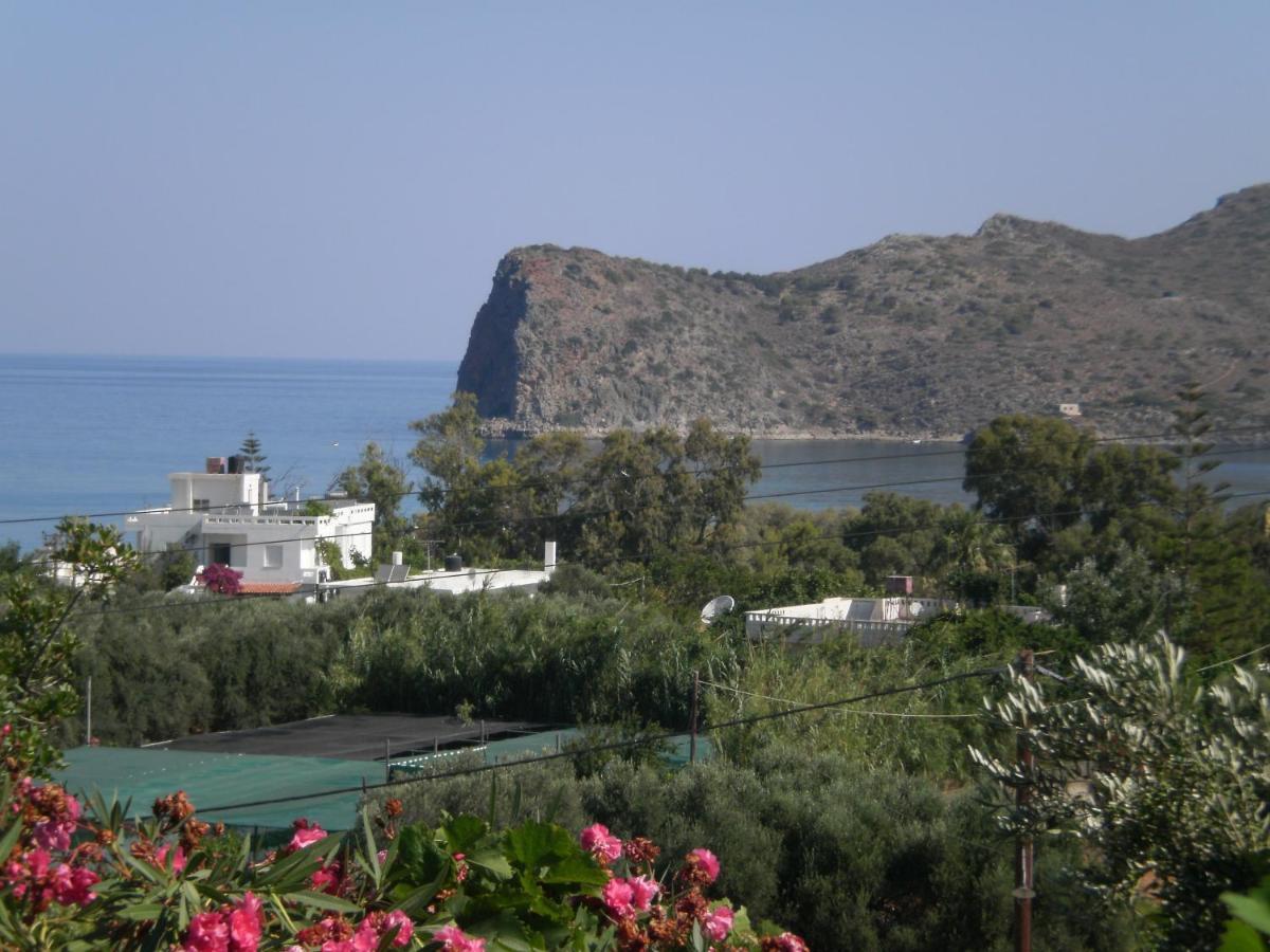 Amazon Apartment Agia Marina (Crete)