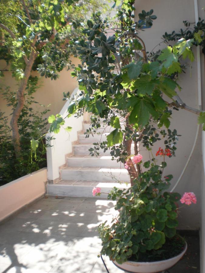 Amazon Agia Marina (Crete)