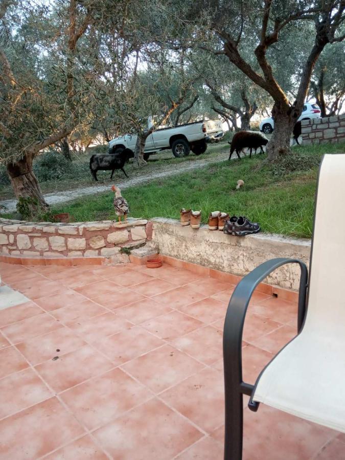 Ktima Tzamika * Episkopi (Rethymno)