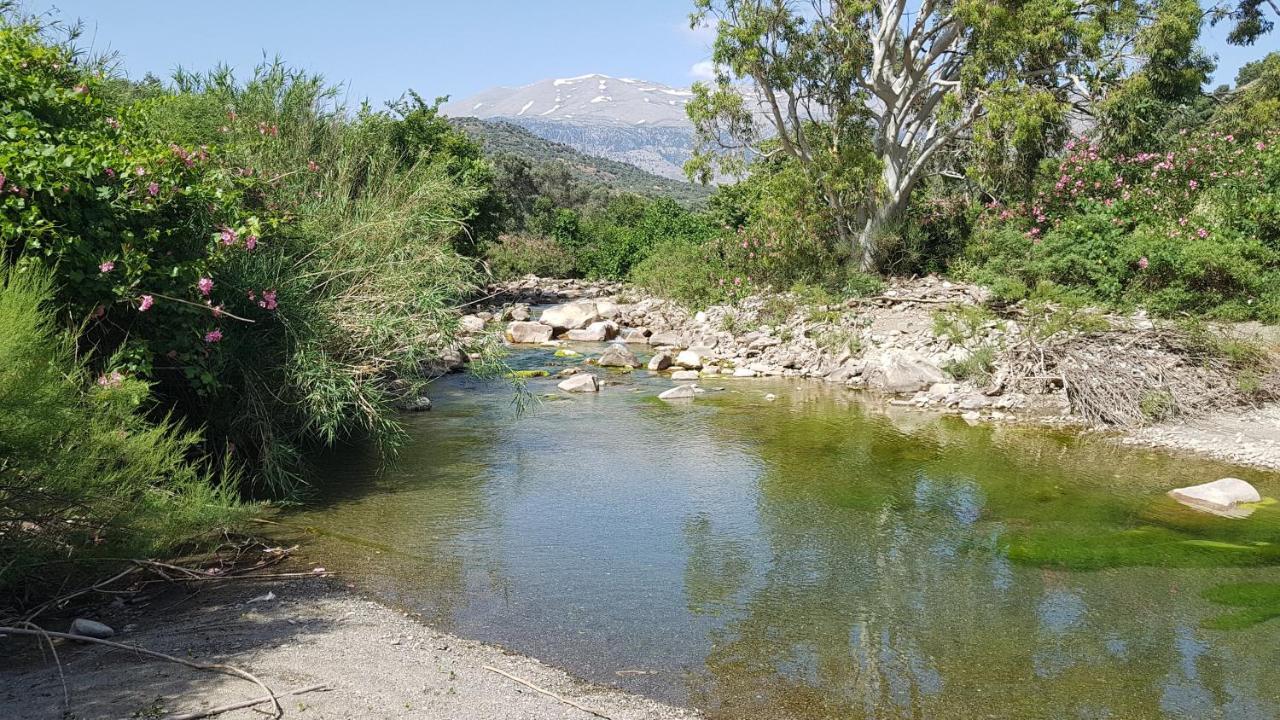 Galini Breeze * Agia Galini (Crete)