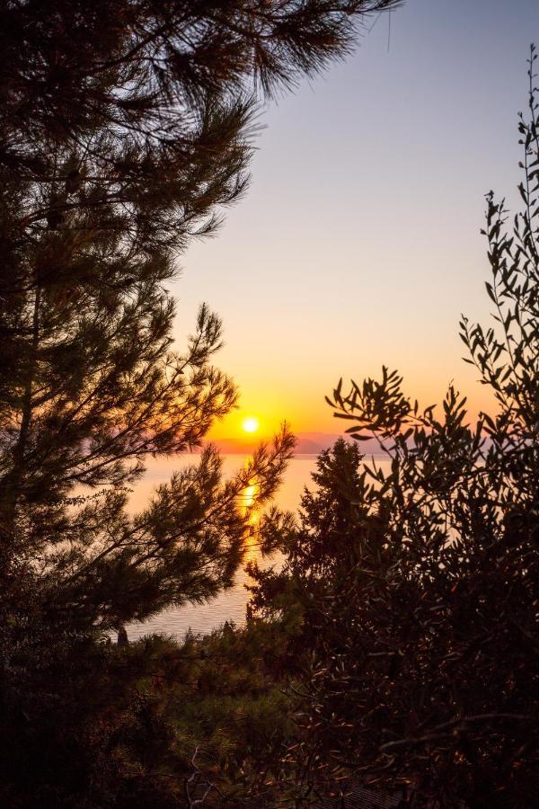 Niki Sunrise Gastouri (Corfu)