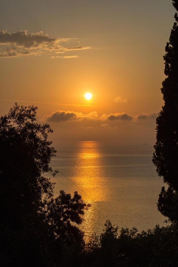 Niki Sunrise Apartment Gastouri (Corfu)