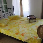 Pitini