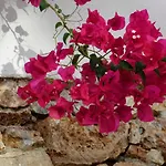 Meltemi