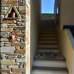 3 Alpha Studios