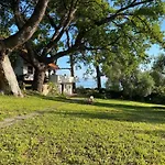 Wild Oaks Cottage