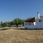 Granny\'S House