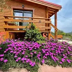 The Lodge